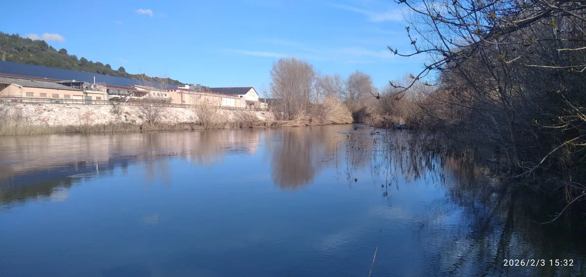 IMG_20260203_153240_1